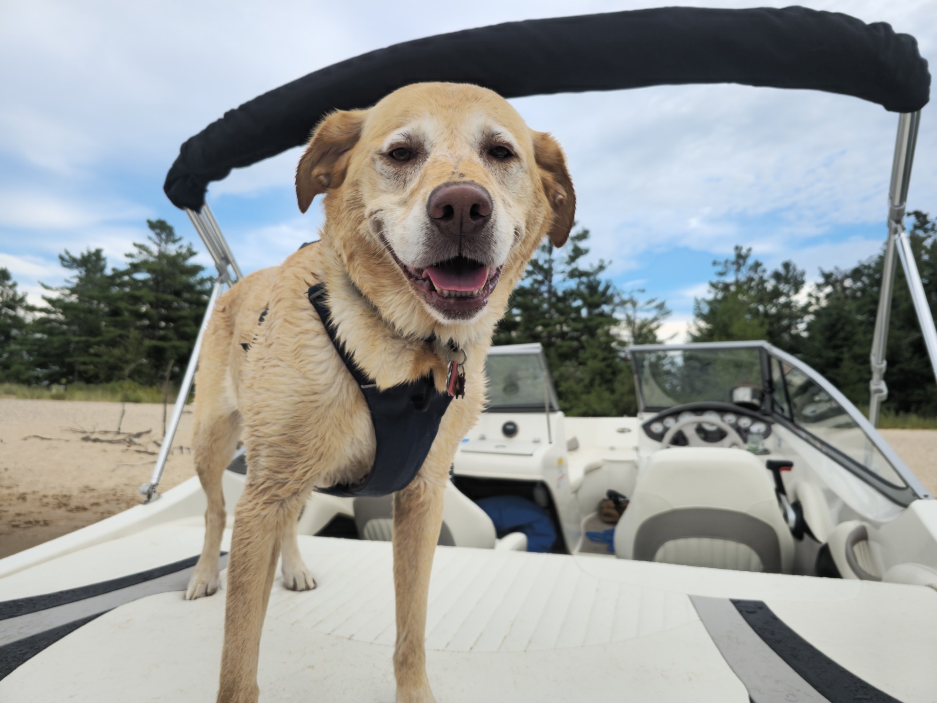 2025 photo contest finalist by Bradley Licata